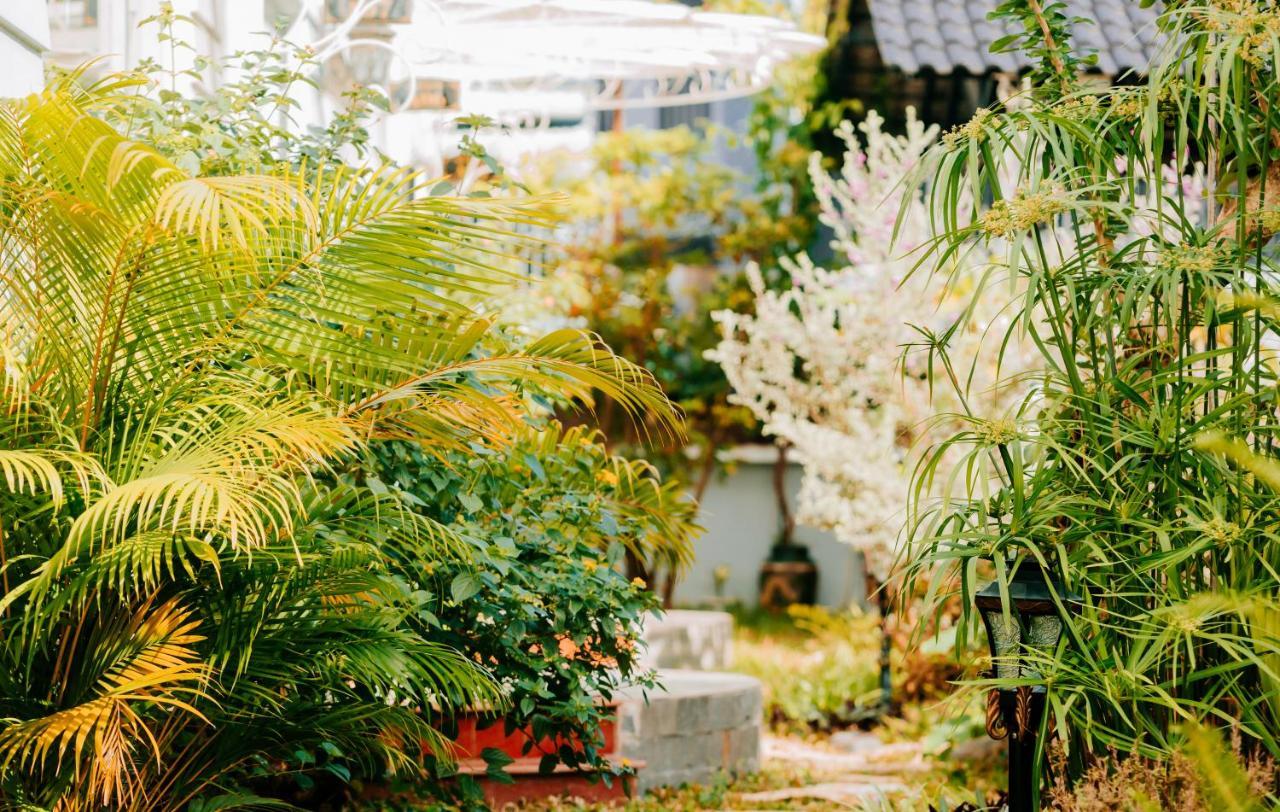 Window Homestay Kon Tum Bagian luar foto